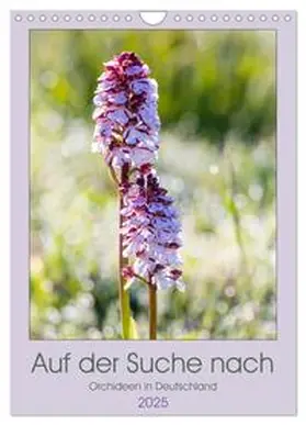Webeler / CALVENDO |  Auf der Suche nach Orchideen in Deutschland (Wandkalender 2025 DIN A4 hoch), CALVENDO Monatskalender | Sonstiges |  Sack Fachmedien
