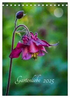 CALVENDO / Gartenchaosliebe |  Gartenliebe (Tischkalender 2025 DIN A5 hoch), CALVENDO Monatskalender | Sonstiges |  Sack Fachmedien
