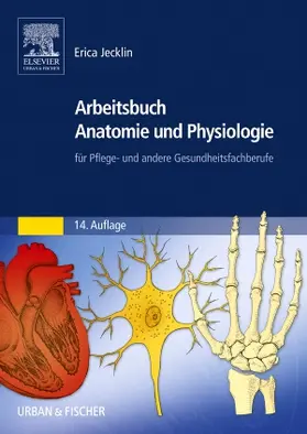 Brühlmann-Jecklin |  Arbeitsbuch Anatomie und Physiologie | Buch |  Sack Fachmedien