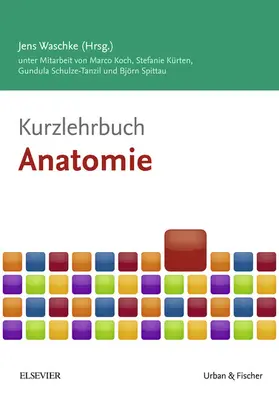 Koch / Kürten / Schulze-Tanzil |  Kurzlehrbuch Anatomie | eBook | Sack Fachmedien