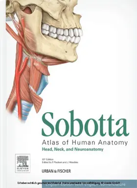 Paulsen / Waschke |  Sobotta Atlas of Human Anatomy, Vol. 3, 15th ed., English | eBook | Sack Fachmedien
