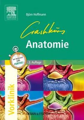 Hoffmann |  Crashkurs Anatomie | Buch |  Sack Fachmedien