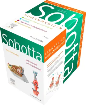 Bräuer / Scholz |  Sobotta Lernkarten Anatomie für die Humanmedizin | Buch |  Sack Fachmedien