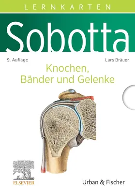 Bräuer |  Sobotta Lernkarten Anatomie: Knochen, Bänder und Gelenke | Buch |  Sack Fachmedien