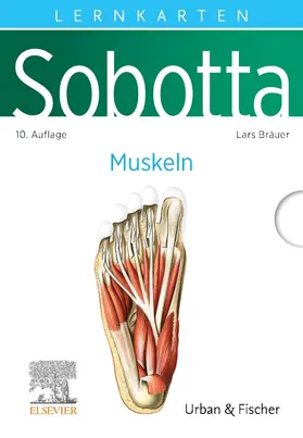 Bräuer |  Sobotta Lernkarten Anatomie: Muskeln | Buch |  Sack Fachmedien