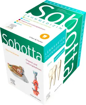 Bräuer / Scholz / Proff |  Sobotta Lernkarten Anatomie für die Zahnmedizin | Buch |  Sack Fachmedien