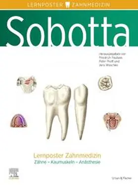 Paulsen / Waschke / Proff |  Sobotta Lernposter Zahnmedizin | Sonstiges |  Sack Fachmedien