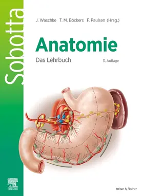 Böckers / Paulsen / Waschke |  Sobotta Anatomie - Das Lehrbuch | Buch |  Sack Fachmedien