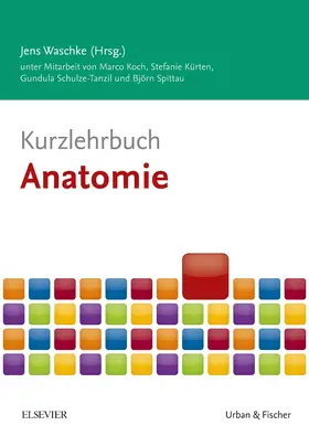 Koch / Kürten / Schulze-Tanzil |  Kurzlehrbuch Anatomie | Buch |  Sack Fachmedien