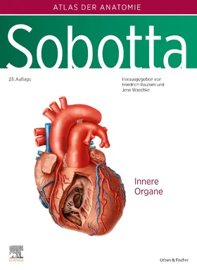 Paulsen / Waschke |  Sobotta, Atlas der Anatomie des Menschen Band 2 | Buch |  Sack Fachmedien