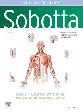 Paulsen / Waschke |  Sobotta Lerntabellen Anatomie Muskeln, Gelenke und Nerven | Buch |  Sack Fachmedien