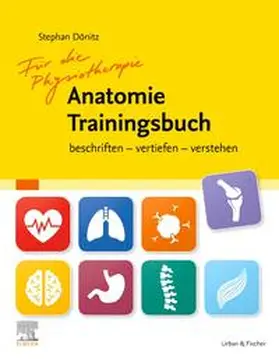 Dönitz |  Physiotherapie Anatomie Trainingsbuch | Buch |  Sack Fachmedien