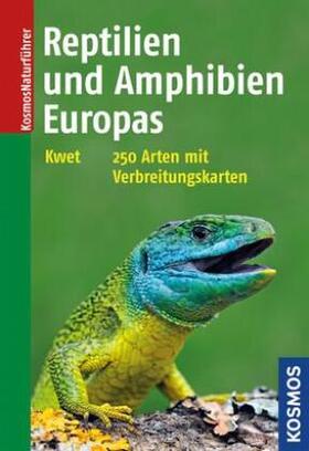 Kwet |  Reptilien und Amphibien Europas | Buch |  Sack Fachmedien