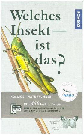 Bellmann |  Welches Insekt ist das? | Buch |  Sack Fachmedien