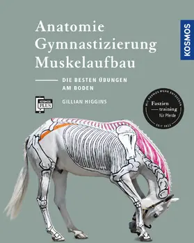 Higgins |  Anatomie, Gymnastizierung, Muskelaufbau | eBook | Sack Fachmedien