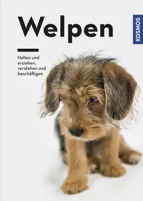 Lübbe-Scheuermann / Schöning / Falke |  Welpen | eBook | Sack Fachmedien