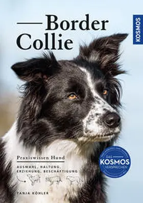 Köhler |  Border Collie | Buch |  Sack Fachmedien