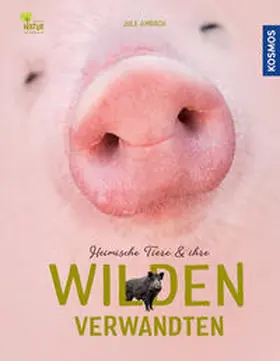 Ambach |  Heimische Tiere und ihre wilden Verwandten | Buch |  Sack Fachmedien