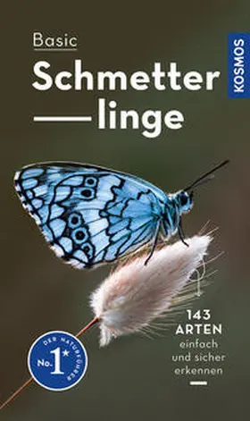 Dreyer |  Basic Schmetterlinge | Buch |  Sack Fachmedien