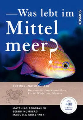 Bergbauer / Humberg / Kirschner |  Was lebt im Mittelmeer? | Buch |  Sack Fachmedien