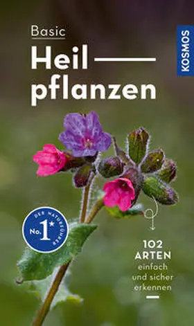Dreyer |  Basic Heilpflanzen | Buch |  Sack Fachmedien