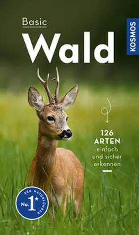 Wilhelmsen |  Basic Wald | Buch |  Sack Fachmedien