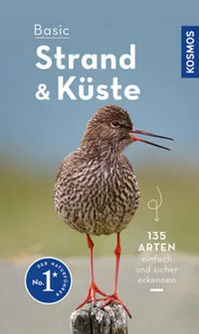 Wilhelmsen |  Basic Strand und Küste | Buch |  Sack Fachmedien