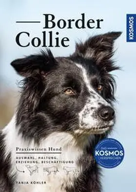 Köhler |  Border Collie | eBook | Sack Fachmedien