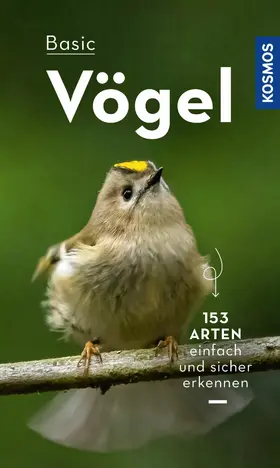 Dierschke |  BASIC Vögel | eBook | Sack Fachmedien
