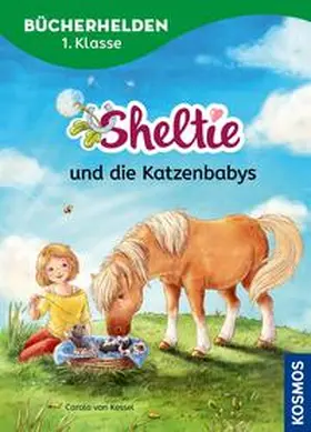 Kessel |  Sheltie, Bücherhelden 1. Klasse, Sheltie und die Katzenbabys | eBook | Sack Fachmedien