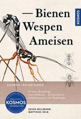 Bellmann / Helb |  Bienen, Wespen, Ameisen | eBook | Sack Fachmedien