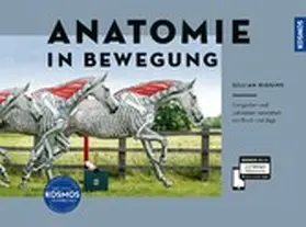 Higgins |  Anatomie in Bewegung | eBook | Sack Fachmedien