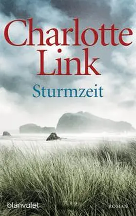Link | Sturmzeit | Buch | 978-3-442-37416-8 | sack.de