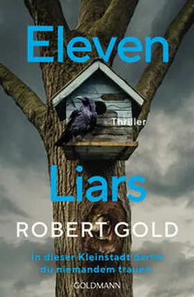 Gold |  Eleven Liars | Buch |  Sack Fachmedien