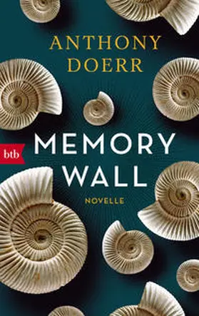 Doerr |  Memory Wall | Buch |  Sack Fachmedien