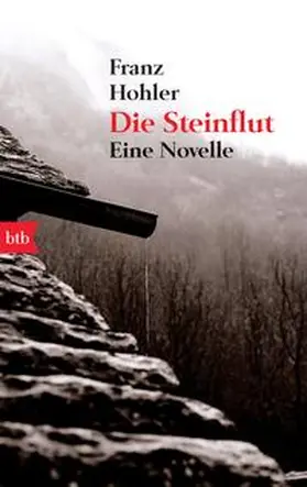 Hohler | Die Steinflut | Buch | 978-3-442-74269-1 | www2.sack.de
