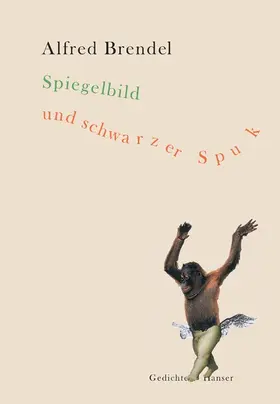 Brendel |  Spiegelbild und schwarzer Spuk | Buch |  Sack Fachmedien