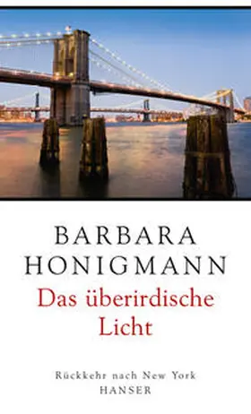 Honigmann |  Das überirdische Licht | Buch |  Sack Fachmedien