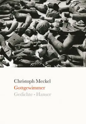 Meckel |  Gottgewimmer | Buch |  Sack Fachmedien