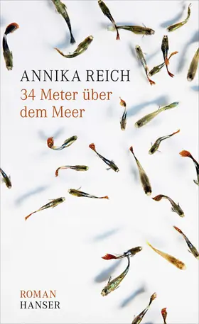 Reich |  34 Meter über dem Meer | eBook | Sack Fachmedien