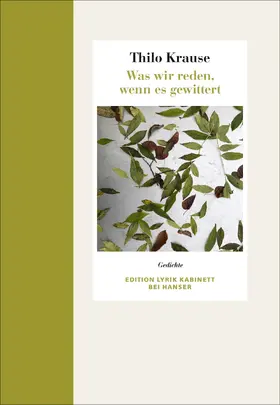 Krause |  Was wir reden, wenn es gewittert | Buch |  Sack Fachmedien