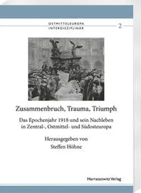 Höhne |  Zusammenbruch, Trauma, Triumph | Buch |  Sack Fachmedien