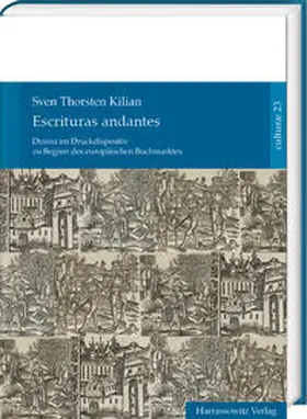 Kilian |  Escrituras andantes | Buch |  Sack Fachmedien