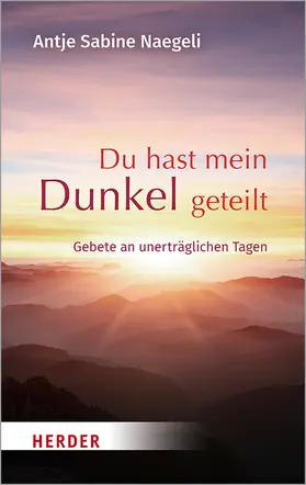 Naegeli |  Du hast mein Dunkel geteilt | Buch |  Sack Fachmedien