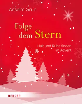 Grün / Walter |  Folge dem Stern | Buch |  Sack Fachmedien