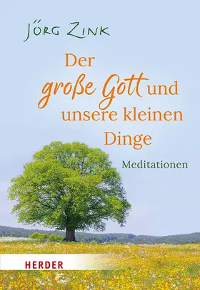 Zink |  Der große Gott und unsere kleinen Dinge | Buch |  Sack Fachmedien