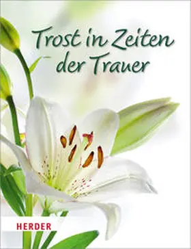  Trost in Zeiten der Trauer | Buch |  Sack Fachmedien