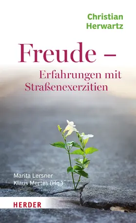 Herwartz / Lersner / Mertes |  Freude - Erfahrungen mit Straßenexerzitien | Buch |  Sack Fachmedien