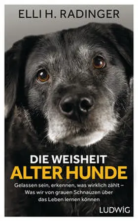 Radinger |  Die Weisheit alter Hunde | Buch |  Sack Fachmedien