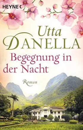 Danella | Begegnung in der Nacht | Buch | 978-3-453-42446-3 | www2.sack.de